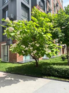 1 room apartment near MEGA 4 YOU, flat 103 - 1