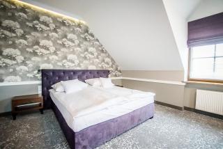 Hotel Pałac Poledno - 4