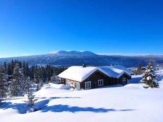 Trysil Panorama Retreat - 7