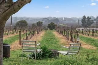 Grace Cottage, Barossa Valley - 9