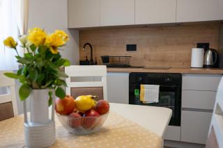 Guesthouse Viktorija Flat - Premium apartment - Otočac - 2