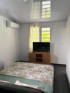 Le cocon de Rosie - Maison T2 moderne et climatisée - 4