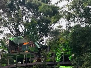 Knysna Lodge Glamping Cabin with Amazing views - 3