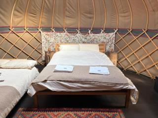 Ash Yurt - 1