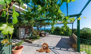 House Dida Mate - cozy house in nature with heated pool - 8