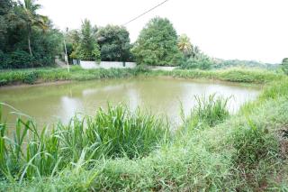 Kethbima Agri Cottage - 7