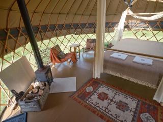 Oak Yurt - 7