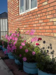 Aziret Guest House - 6