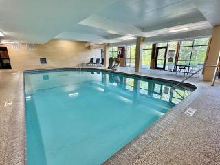 Lutsen Mtn Ski-In/Ski-Out Studio | Lake & Mtn View - 6