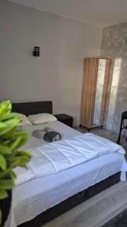 Apartman Popović - Niš - 4