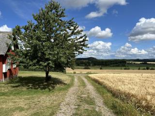 Olles - 7