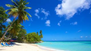 The Island Nook Barbados - Poolside Retreat Steps from Dover Beach & St Lawrence Gap - 6