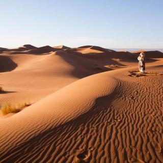 Arabian Horse camp - 0