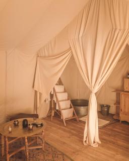 Arabian Horse camp - 3