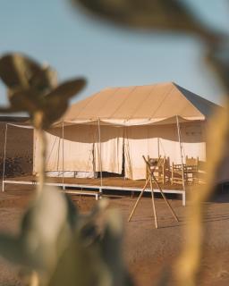 Arabian Horse camp - 2