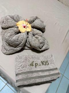 Ap inteiro, Piscina, 400m da praia, Completo - 5