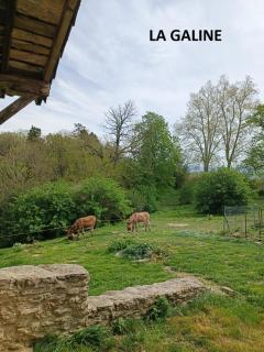Domaine Puy Saint Jammes - 8