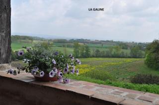 Domaine Puy Saint Jammes - 1