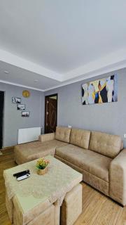 Comfortable Apartment in Kutaisi City Centre - 9