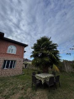 Palm Garden House Lankaran - 2