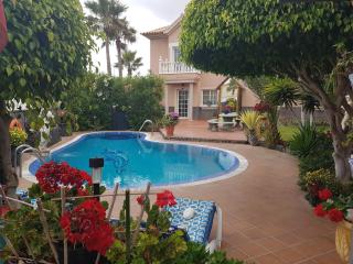 Apartamentos Los Delfines - El Médano - 1