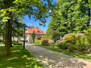 Rezydencja Grawert Boutique & Spa - 8