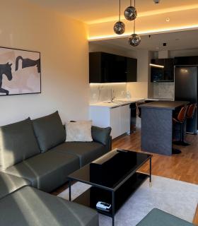 Diamond Residence Skopje Centre Luxury Apartment - Mountain View , Free Parking - Skopje - 5