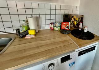 Lieblingsplatz Leipzig-helles City Apartment for 2 - 6