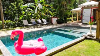 Villa Émeraude - Superbe Villa Créole, accès direct Plage du Diamant, Magnifique piscine - 9