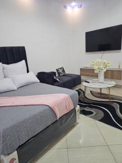 Lunar property - 3