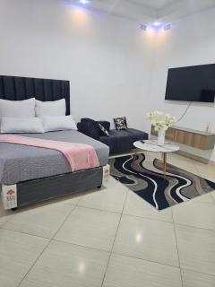 Lunar property - 2