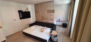 Apartments KrAnJ - City Studio Katka - Kranj - 6