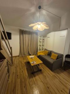 Superbe T1 Pietranera - 6
