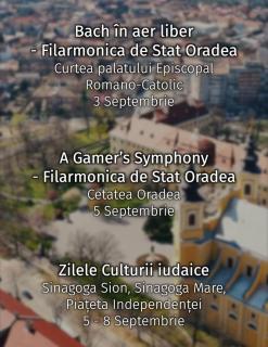 Oradea Gateway & 3BR by River & Quick Airport Exit - 9