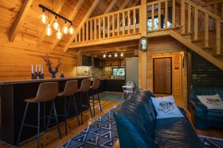 Alpas forest house - 4