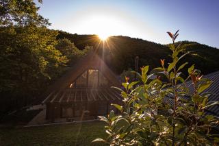 Alpas forest house - 9