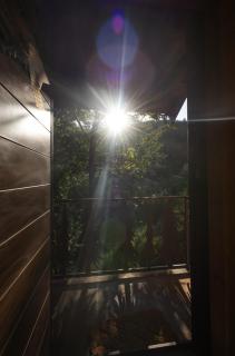 Alpas forest house - 6