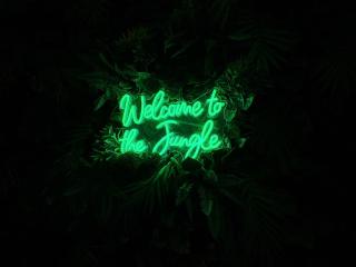 La Jungle du Vernet, Ambiance Tropicale - 8