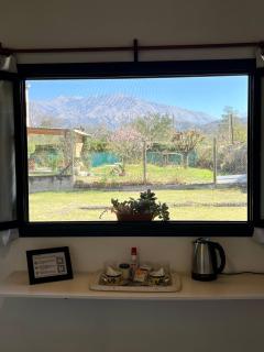 Suites del Jardín - 5