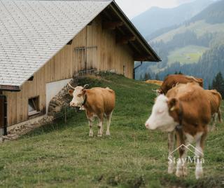 StayMia- Swiss Family Retreat - 5