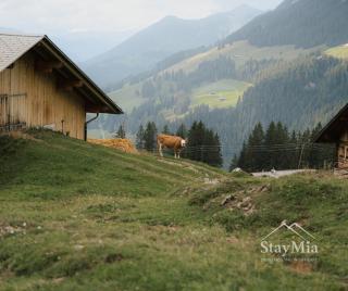StayMia- Swiss Family Retreat - 4