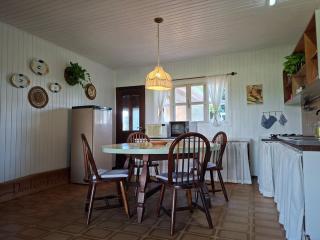 Haus und Garten - Casa de campo em Witmarsum - 1
