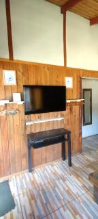 Pucon naturaleza indómita - 8