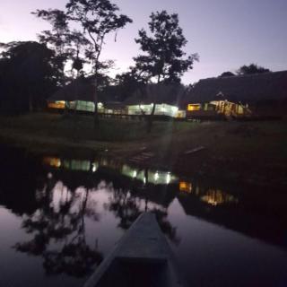 Amazon Tropical Tours - 3