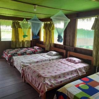 Amazon Tropical Tours - 2