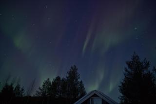 Oravas Nest - 7