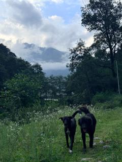 River Edge Home Stay, Sainj - 5