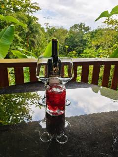 Eden Paradise, La Fortuna - 3