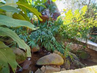 Cabana com Cachoeira Privativa - 1