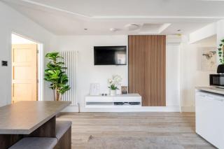 Delightful 2 Bedroom Apartment in Bristol - 9